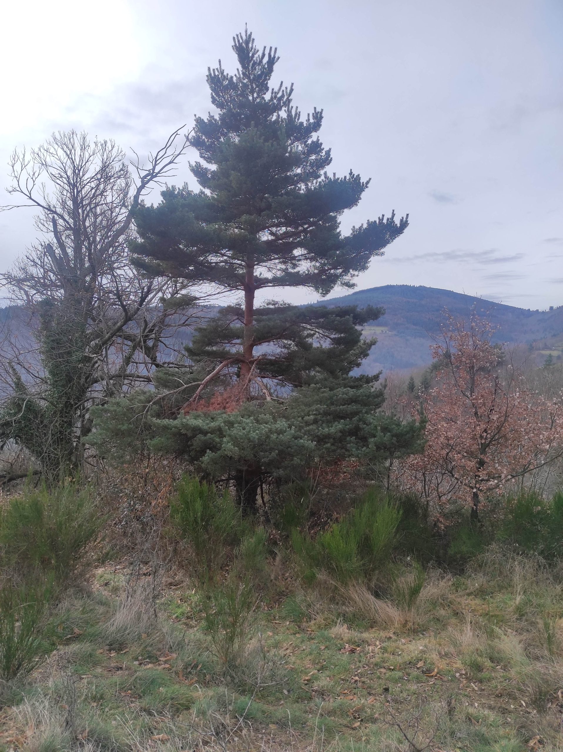 Gîte Ardèche -